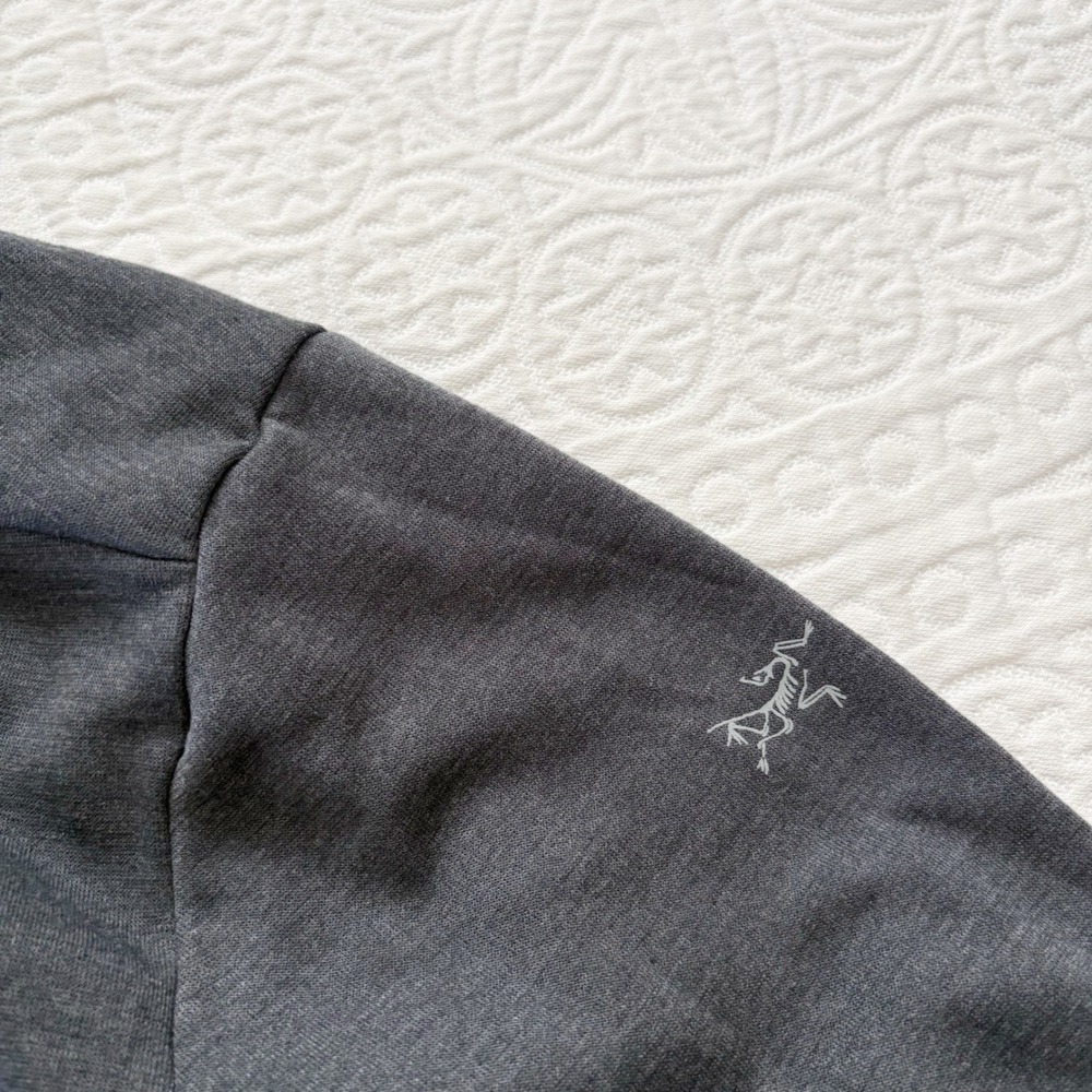 Arc'teryx Men's Dallen Fleece Hoody, Pilot XL - Picture 3 of 7